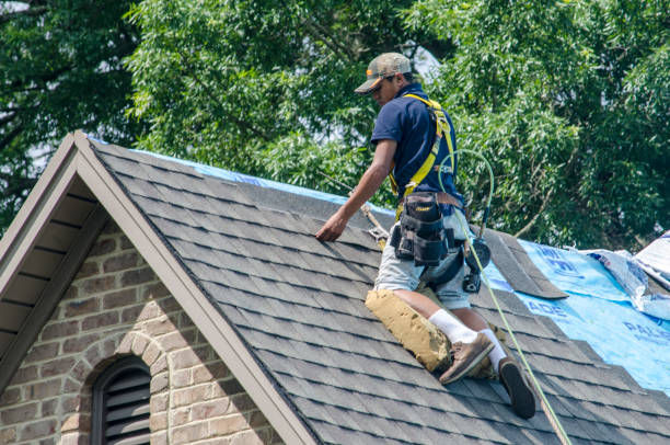 Best Storm Damage Roof Repair  in Crane, MO